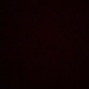 Meet your Posher, Laramie